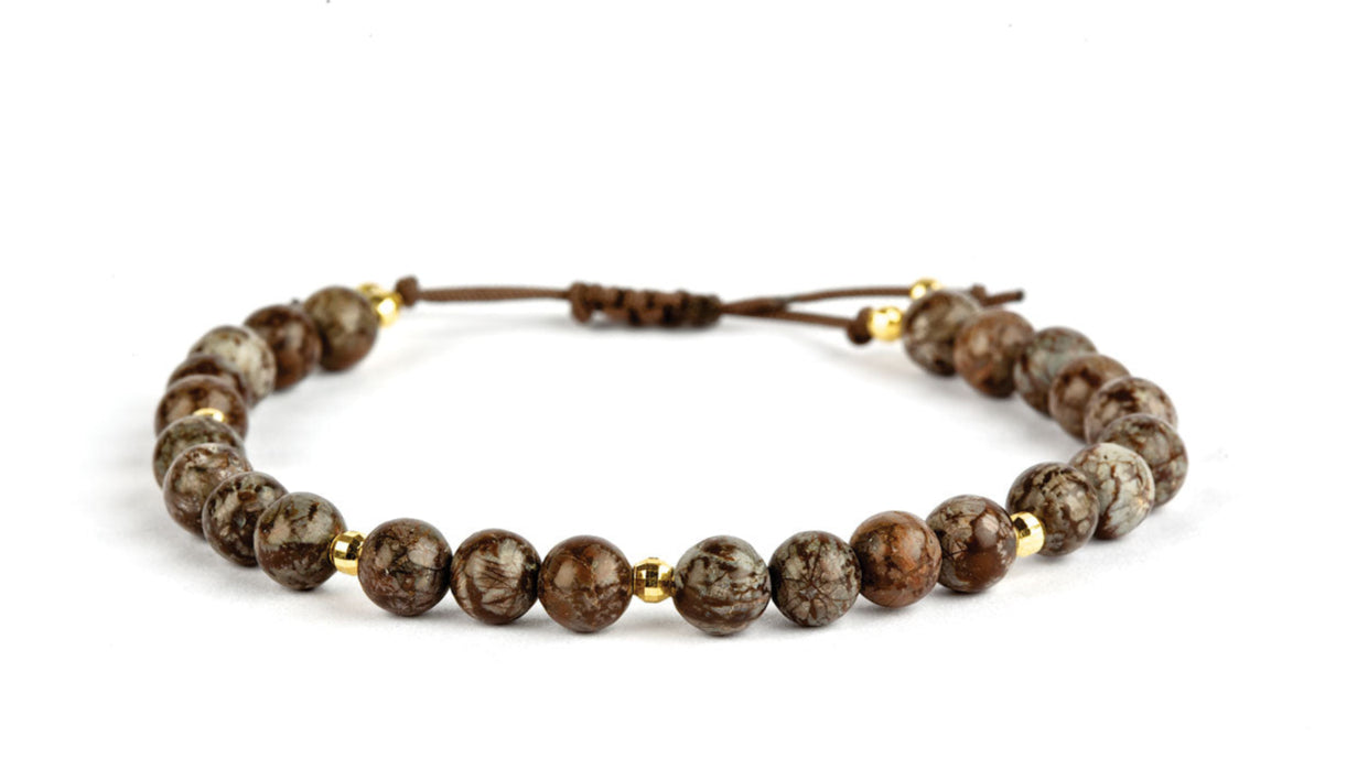 Brasilien Brun Snefnug - Guld