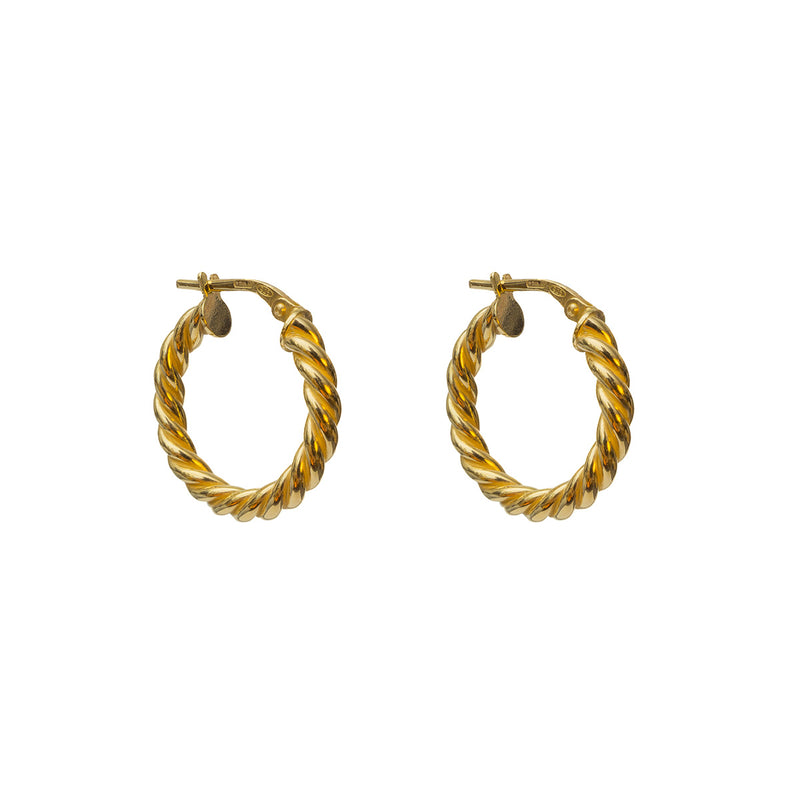 Caroni Earrings - Gold